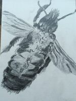 Fluffy - Image 2