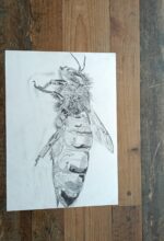 The Queen Bee - Image 3