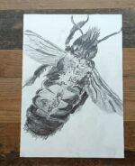 Fluffy - Image 3