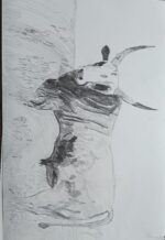 The Hungarian Grey - Image 2