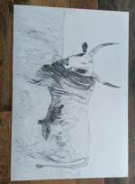 The Hungarian Grey - Image 3