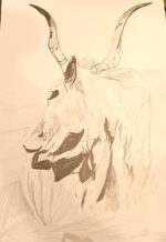 Grey of the Plains - Image 3
